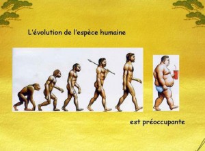 Humour - Evolution humaine