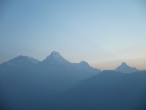 TERRE