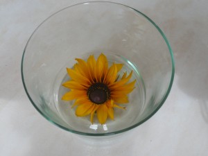P1050844