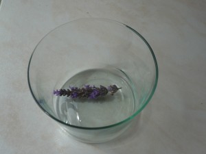 P1050846