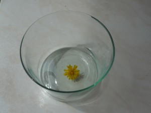 P1050847