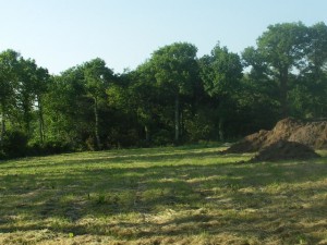 terrain