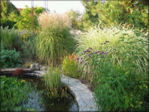 Peltier_jardin01