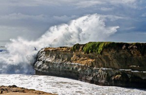 Saut dans le vide
