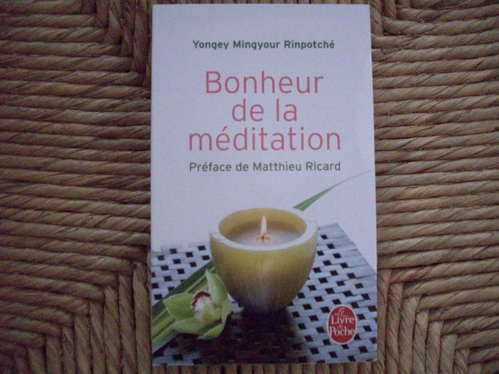 bonheur de la meditation