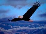 AIGLE.jpg