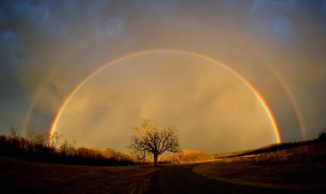 arbre_et_arc_en_ciel.jpg
