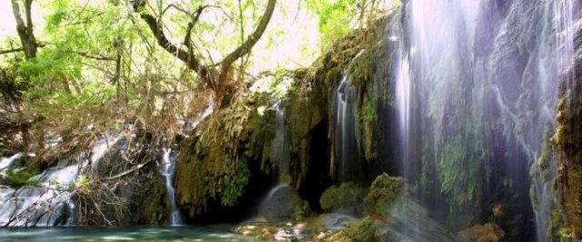 arbres_et_chutes44.jpg