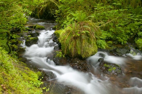cascade3.jpg