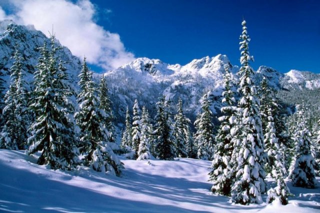 winter2.jpg