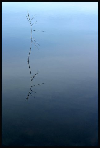 zen.jpg