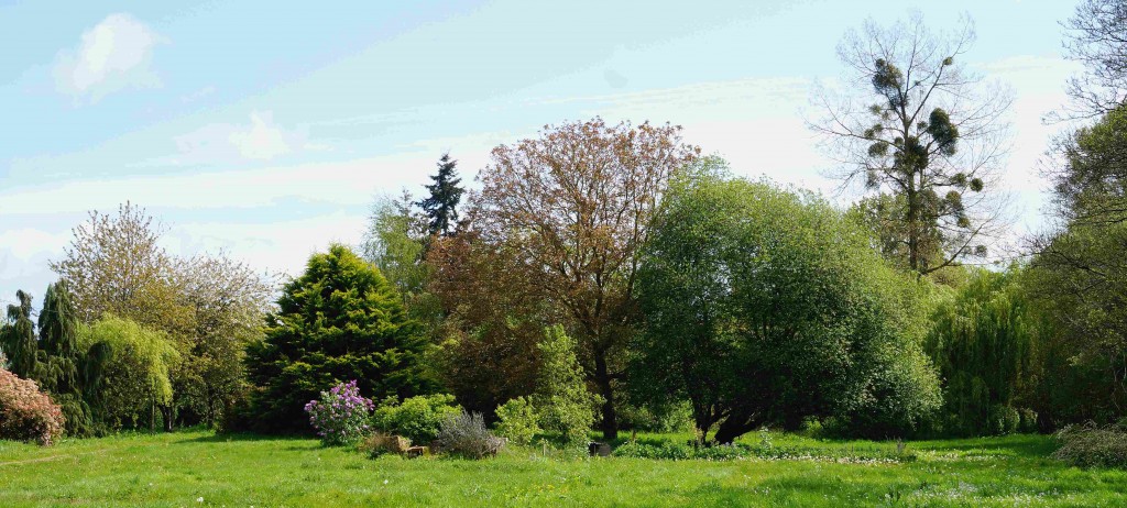 potager