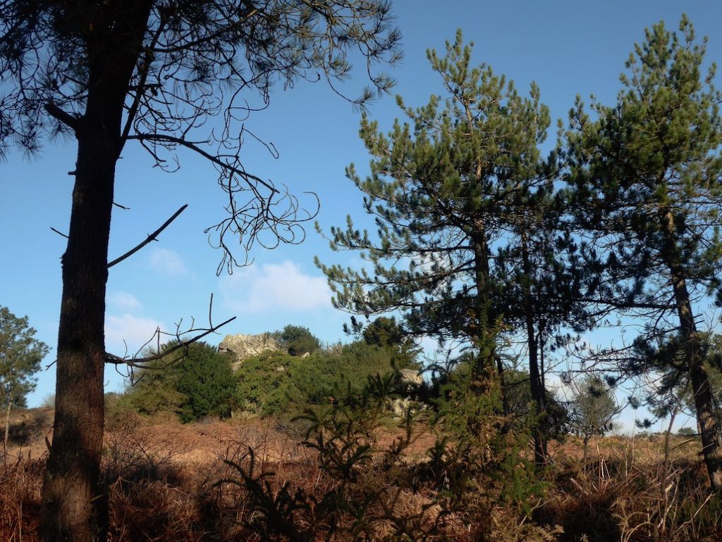 la roche ancestrale