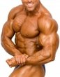 muscles.jpg