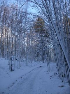 Chemin1535_1_.jpg