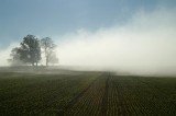 brouillard.jpg