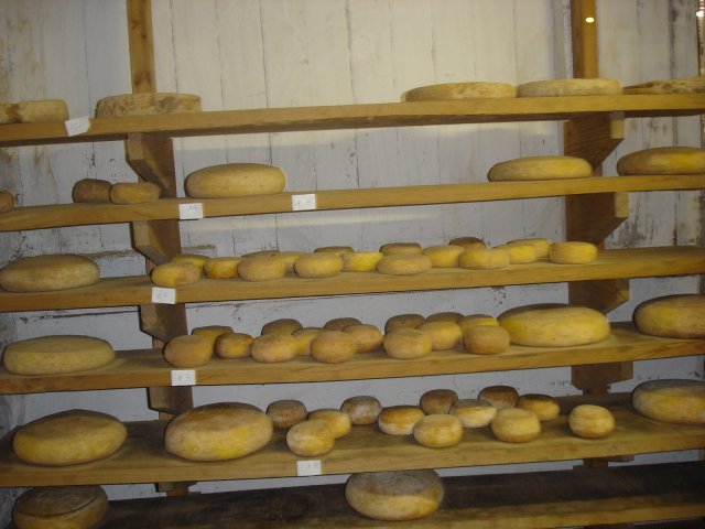 DSC02581.JPG