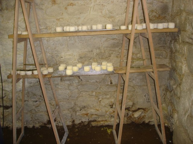 DSC02583.JPG