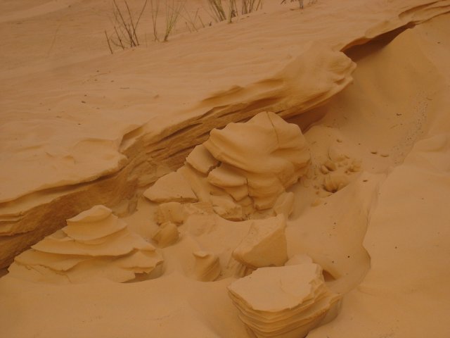 DSC03481.jpg