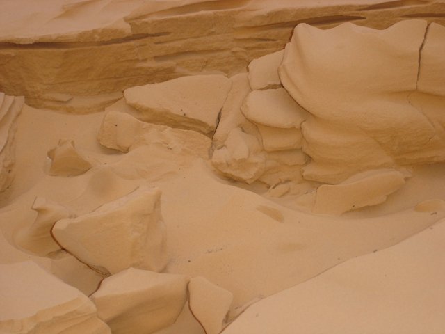 DSC03482.jpg