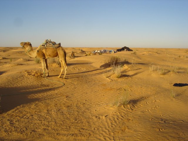 DSC03487.jpg