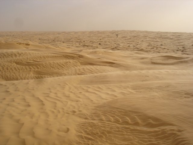 DSC03511.jpg