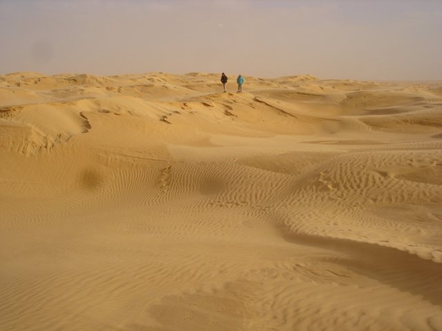 DSC03512.jpg