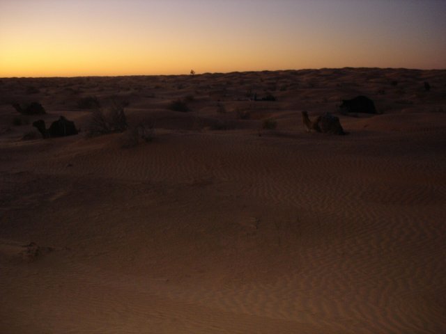 DSC03529.jpg
