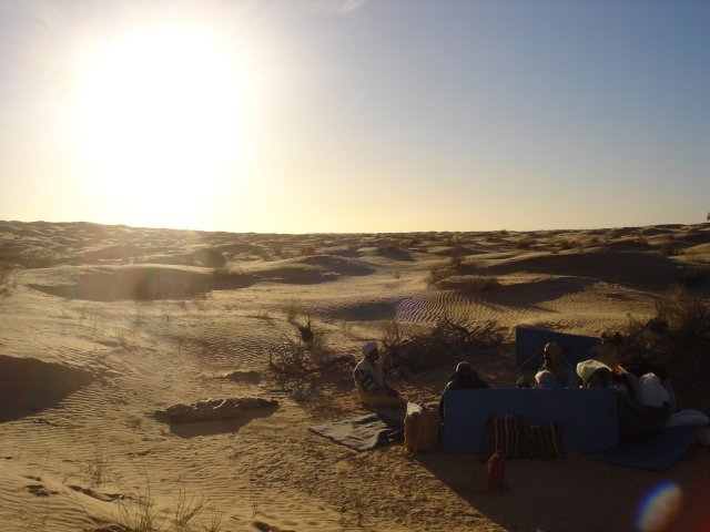 DSC03532.jpg