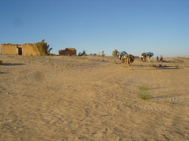 DSC03554.jpg