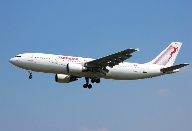 TS_IPC___A300_Tunisair___BRU_29_06_06.jpg