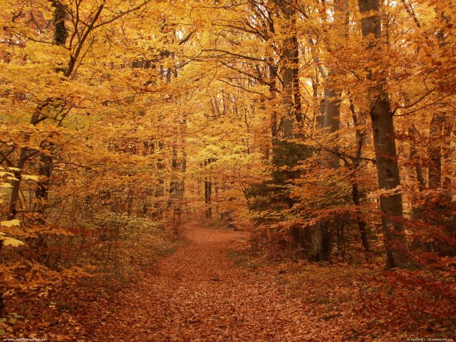 automne_13.jpg