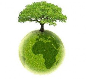 ecologie2_300_276.jpg