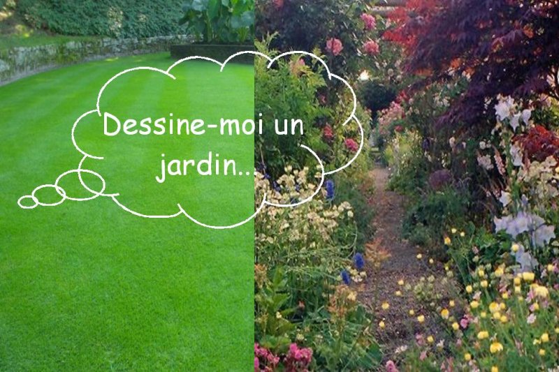 jardin.JPG