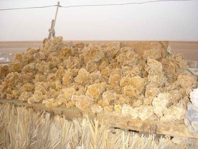 petites_roses_des_sables.jpg
