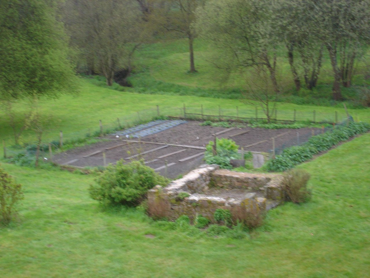 potager_vu_d__en_haut.jpg