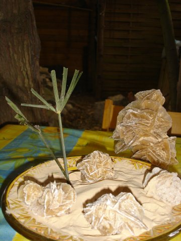roses_des_sables_maison.jpg