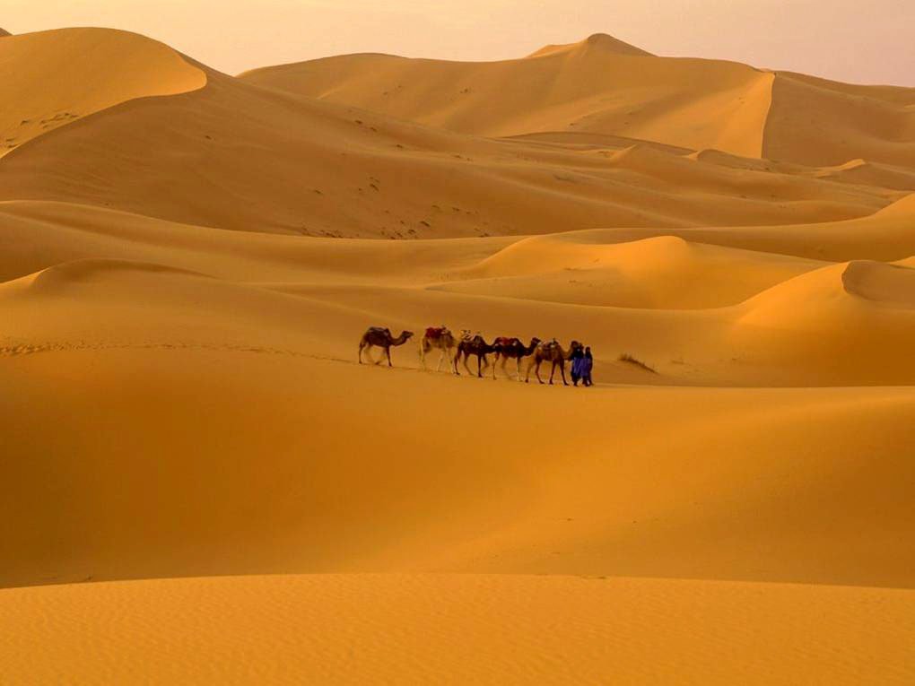 sahara_1.jpg