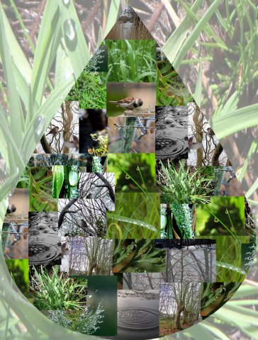 mandala5.jpg